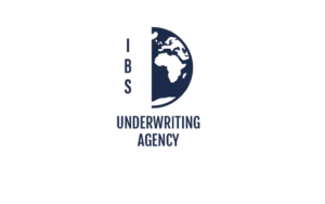 ibs logo